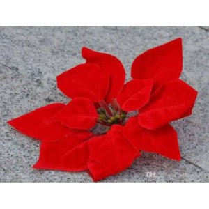 BUNGA NATAL POSENTIA MERAH CHRISTMAS FLOWER PONSETIA BELUDRU VELVET