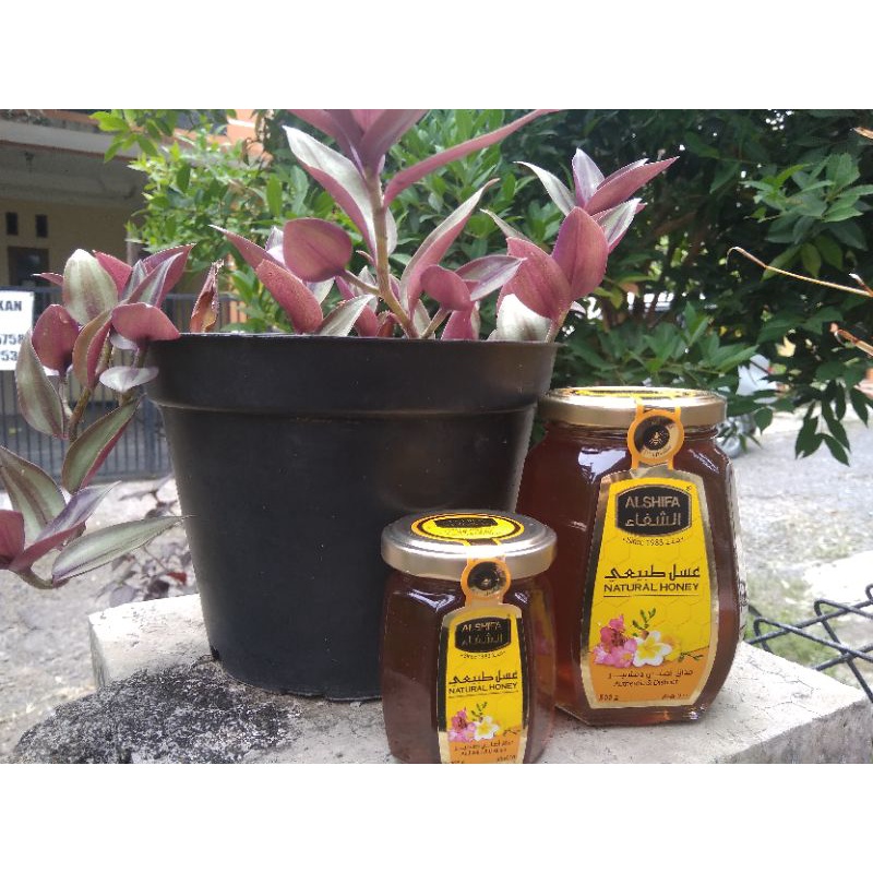 

Madu Alshifa