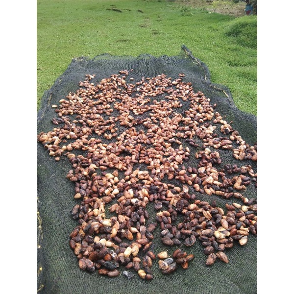 

BIJI KAKAO/COKLAT KERING 500gr