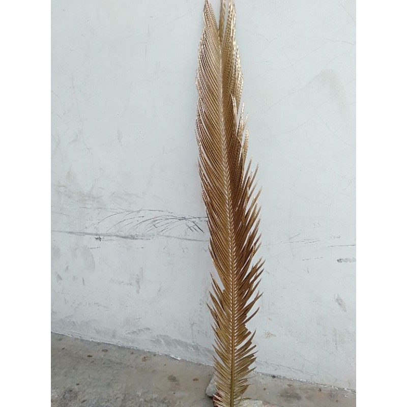 daun sikas gold/daun palm sikas kering