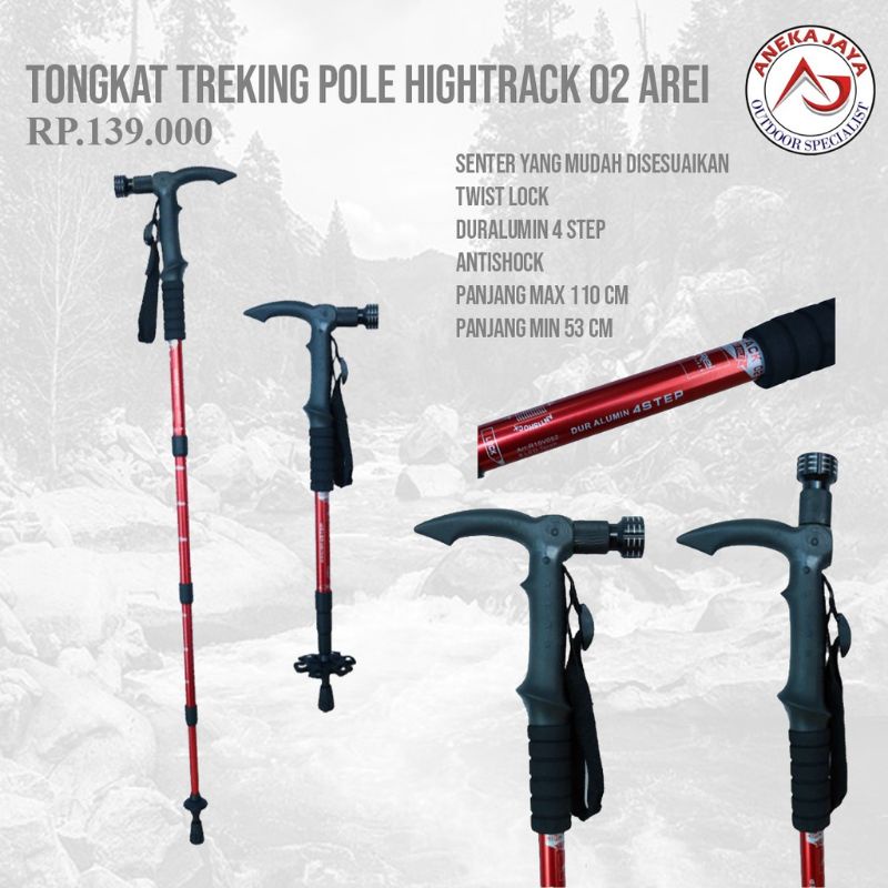 TREKKING POLE REI HIGHTRACK 02