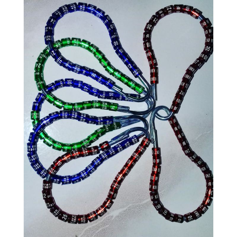 ring,burung,kenari,costume,laser,standart