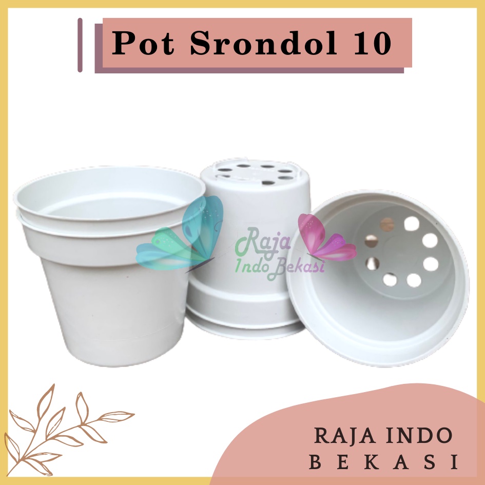 Pot Bunga POLOS 10 Cm Biru Muda, Hijau, Ungu, Putih Pot Bulat Plastik 10cm - Pot Kaktus Kecil Biru