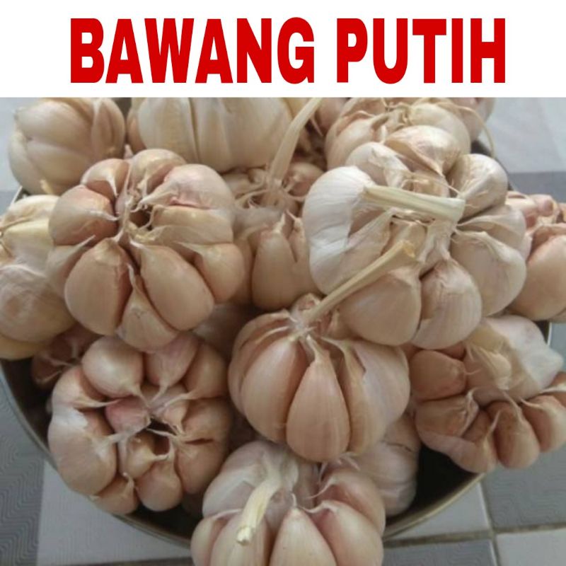 

Bawang putih asli bumbu dapur berat 250 gr kebutuhan memasak tuban