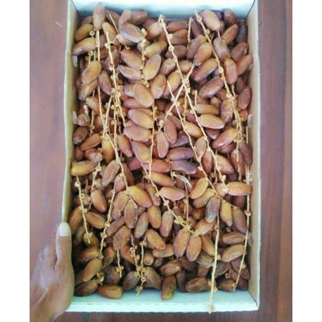 

Kurma Tunis Tangkai Kiloan