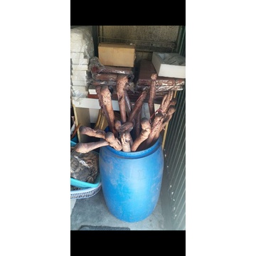 Tongkat Jalan ukir Kayu Stigi Grosir