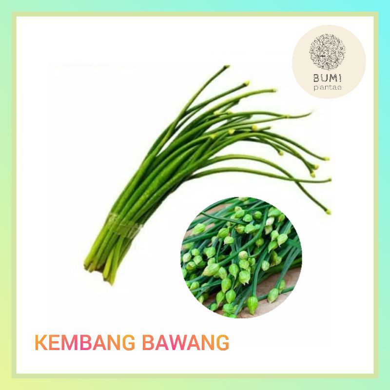 

Kembang Bawang 150 gram - Sayur Segar