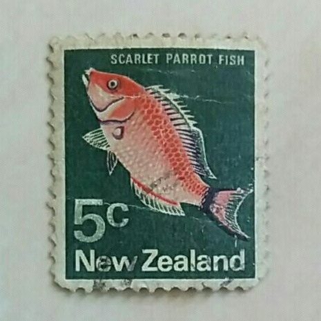 

(AD) Perangko New Zealand 1974 Definitives (1970-76) - Scarlet Parrot Fish (Pseudolabrus miles) 5c Used