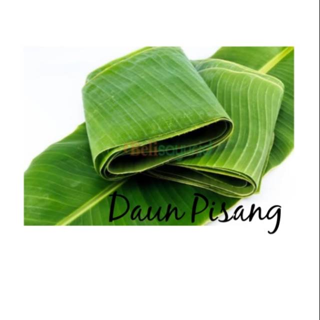 

Daun Pisang 1 Ikat