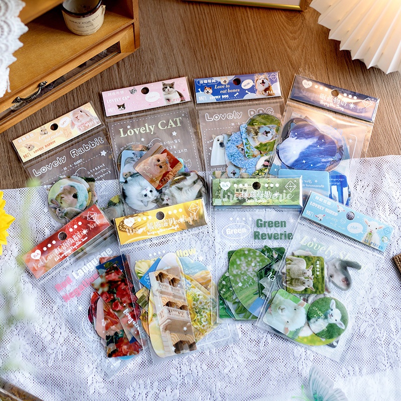 

Decorative Photograph Flake Stickers Set