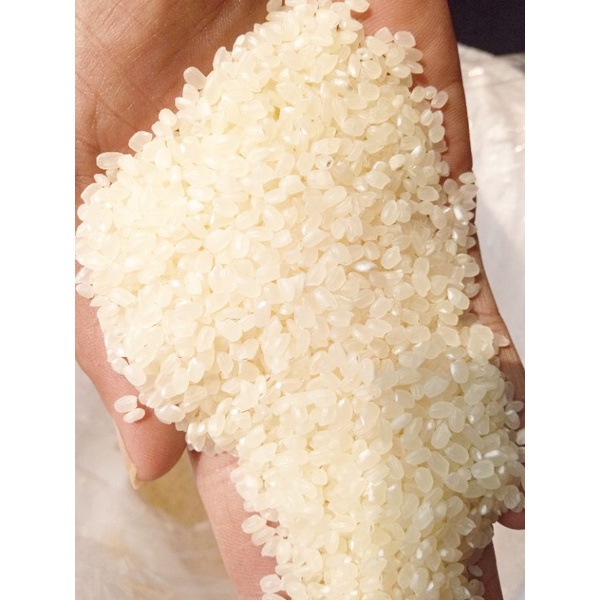 

Beras Jepang okiniiri / koshihikari 1kg 1 kg