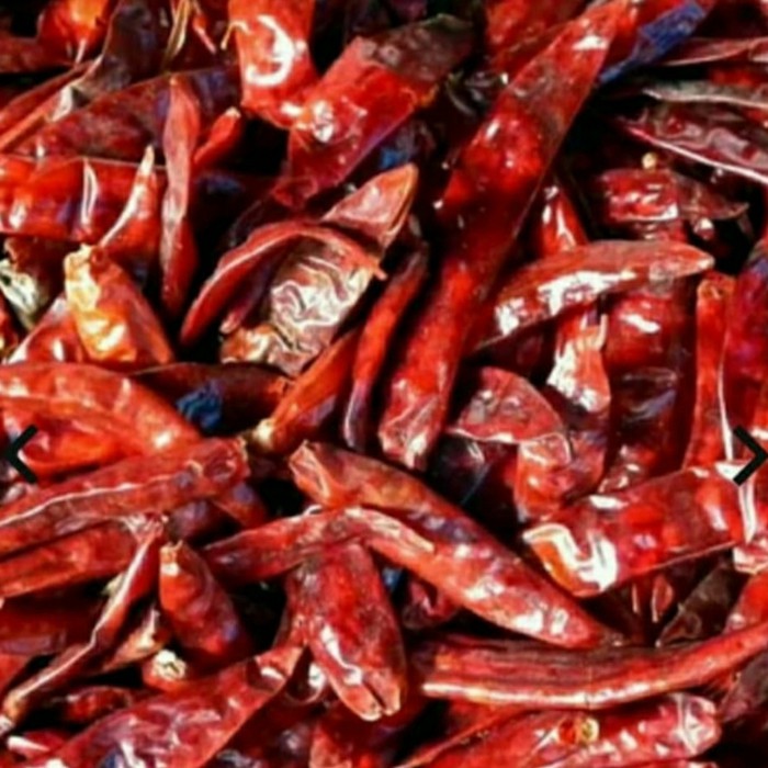 

Spesial - Chili Dry / Cabe Merah Kering / Cabe Besar Merah Kering 500Gram