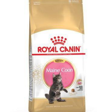 PROMO TERMURAH Royal Canin Kitten Mainecoon 4 kg