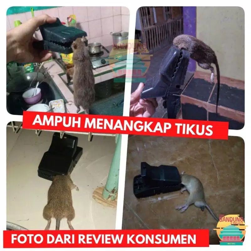 JEBAKAN TIKUS CANGGIH/PERANGKAP TIKUS MODEL BARU YANG INOVATIF SUPERMURAH