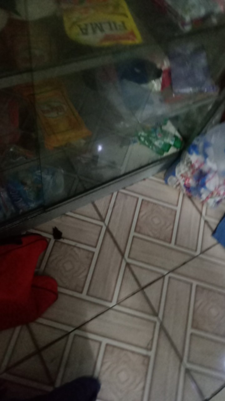 Payung Tenda / Payung Cafe / Payung Pantai Parasol Pelangi 198 Cm ( 42 )