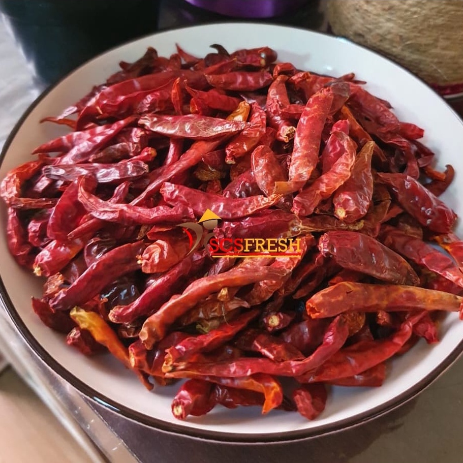 

Cabe Kering Teja | Cabe Rawit Kering Teja Kualitas SUPER (100 GRAM)