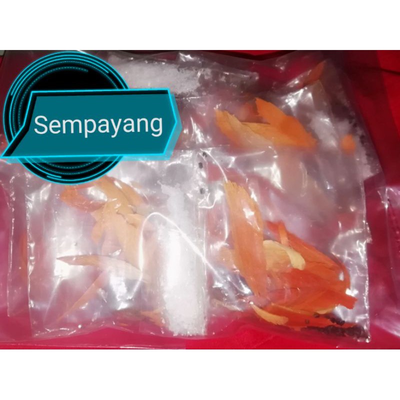 

sempayang_obat panas_dalam