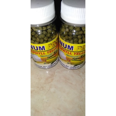 PELET YELLOW PREMIUM 2MM//PELET YELLOW AKARI