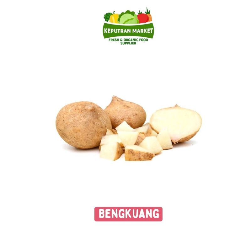 

Bengkuang Per Kg / Umbi
