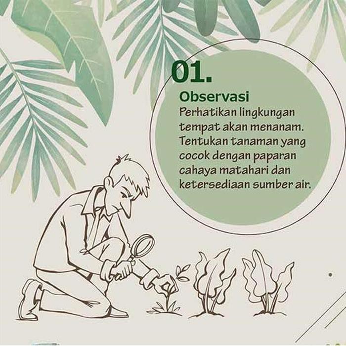 Benih Sayur Bibit Tanaman Sayuran Bawang Cabe Kacang Oyong Pare Timun Terong Tomat Wortel-2