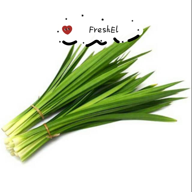 

FreshEl - DAUN PANDAN 1iket