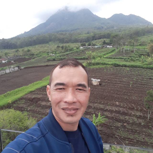 cemi_juniar