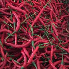 

Cabe Merah Keriting 250gram