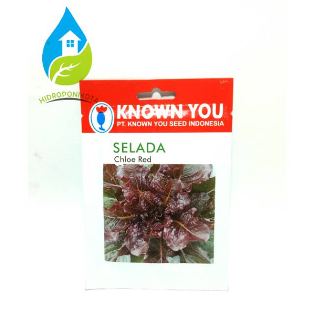 selada chloe red - selada merah