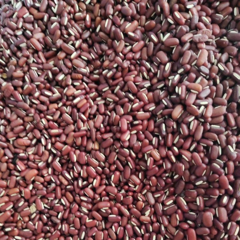 

Kacang Merah Import/Kacang merah Kecil/Kacang es