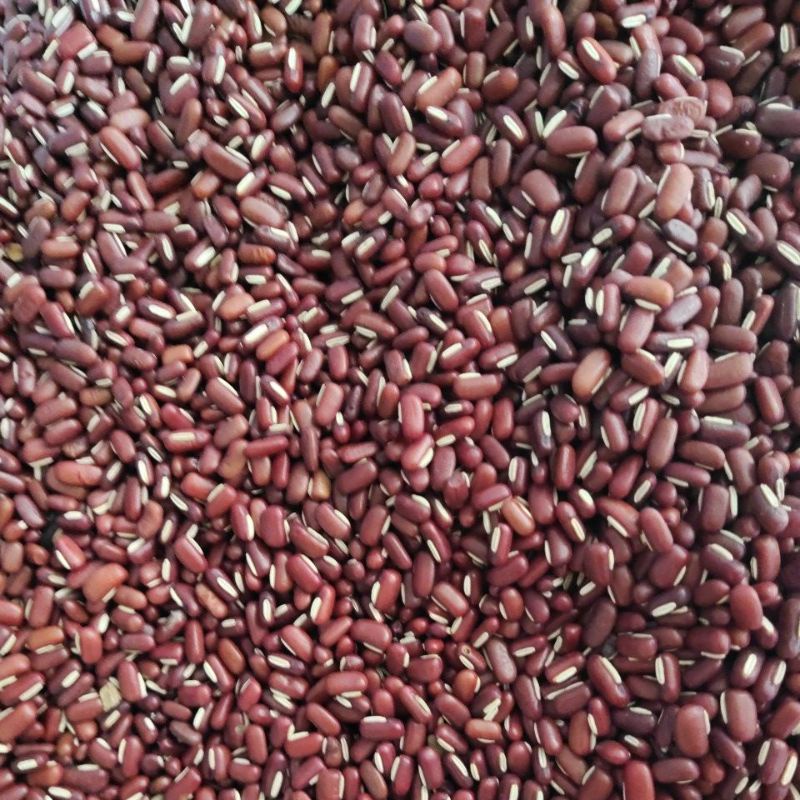 Kacang Merah Import/Kacang merah Kecil/Kacang es