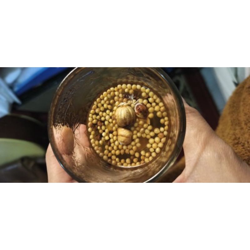 

paket jsr herbal detox rahim