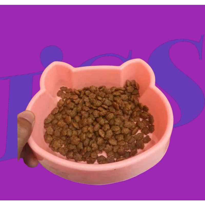 TEMPAT MAKAN KUCING KARAKTER KITTY