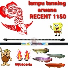 lampu tanning ikan arwana recent SNR 1150