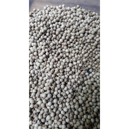 

lada putih / White pepper / merica putih 1 kg