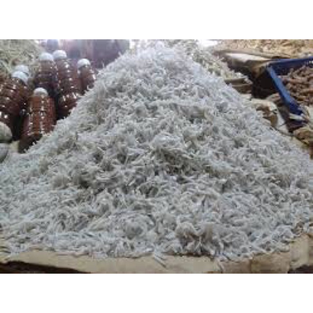 

PROMO PAKET TERI KECIL MEDAN