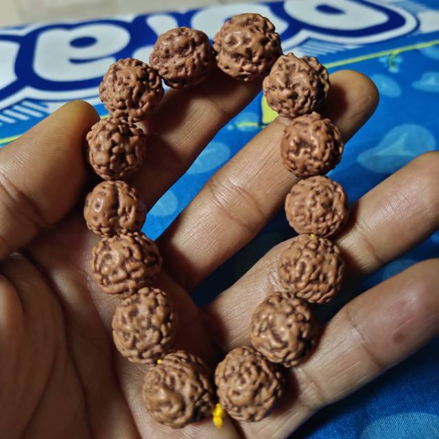 Rudraksha non mukhi jenitri non mukhi