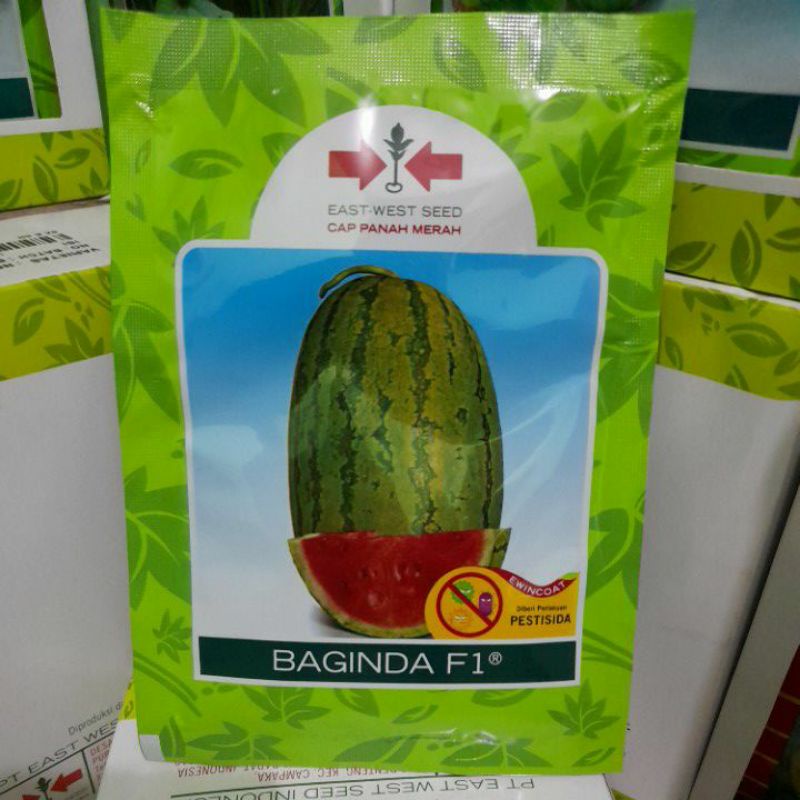 Benih Semangka Merah Baginda F1 isi 380 butir