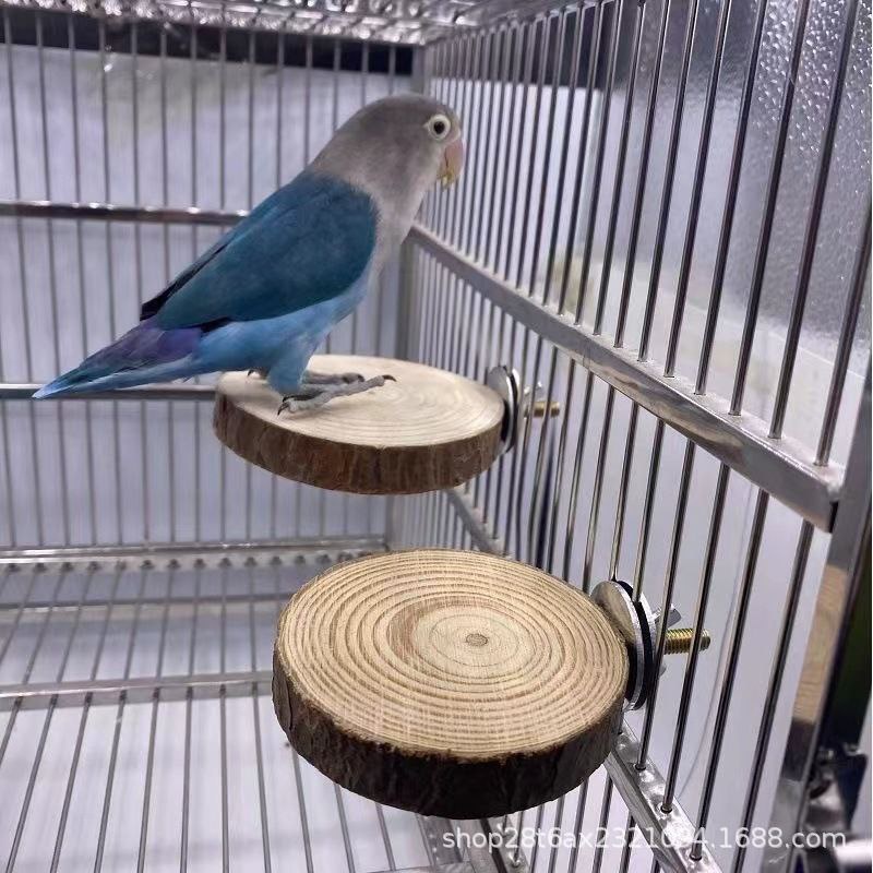Wooden Coaster Wood Slice Potongan Kayu Decor Alas Burung Hamster FEFARM