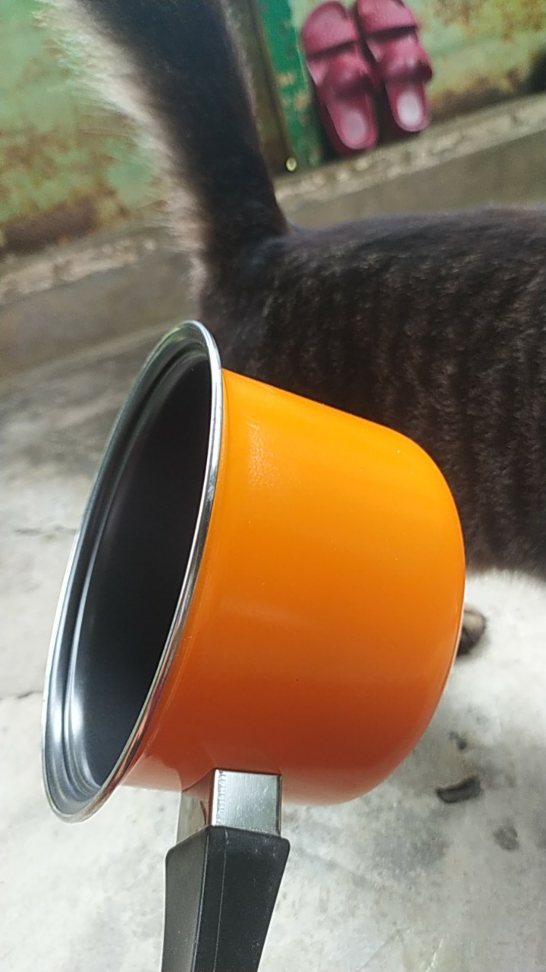 Pastela Milkpan Frypan Sett Maspion Teplon Panci Wajan Anti Lengket