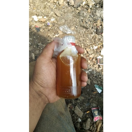 

Madu Murni Lebah Liar