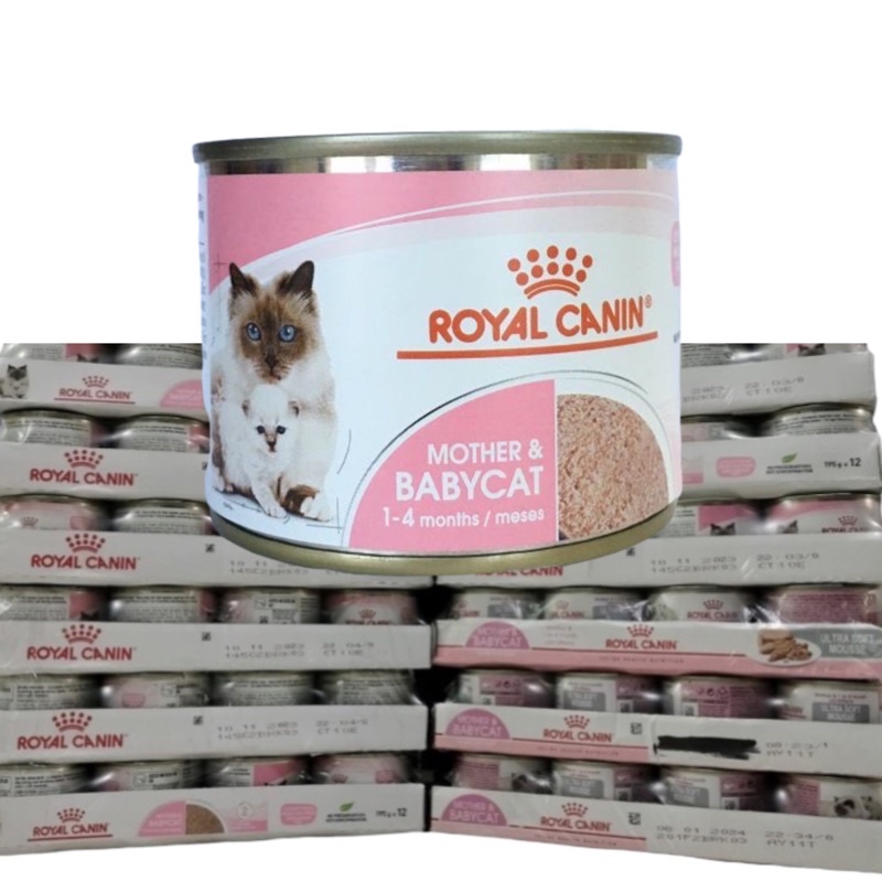 RC MOTHER AND BABY CAT KALENG - Makanan Kucing Wet Food Royal Canin Mother &amp; Baby Cat (KLG) (KALENG)