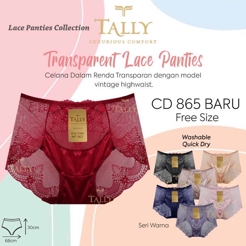 CD | Celana Dalam Wanita Transparent Lace TALLY 865 Freesize