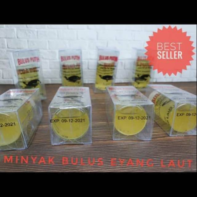 Minyak bulus eyang laut // minyak bulus putih/ minyak bulus original