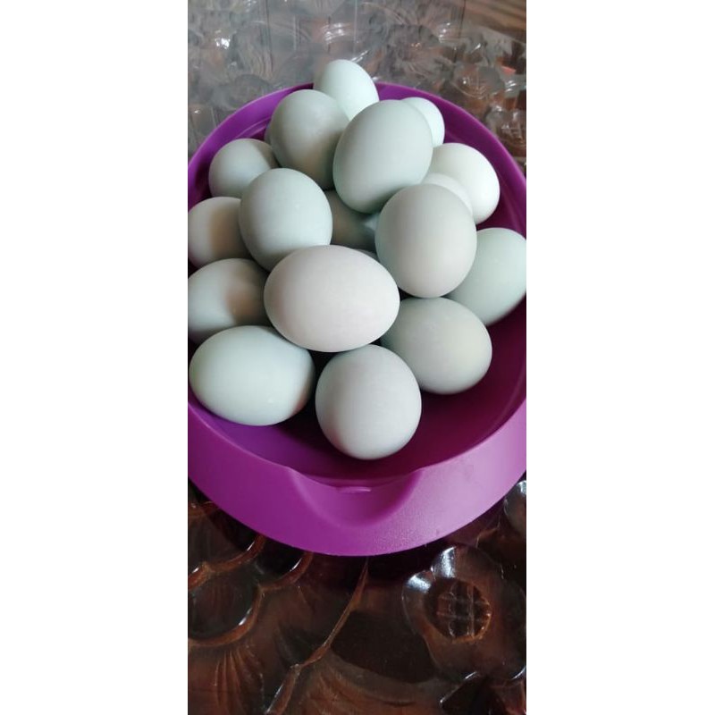 

TELUR-ASIN ORIGINAL PAKET ISI 6 BUTIR