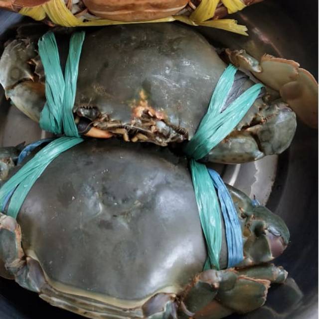 Kepiting Super/Jumbo 1kg isi 2-4 ekor