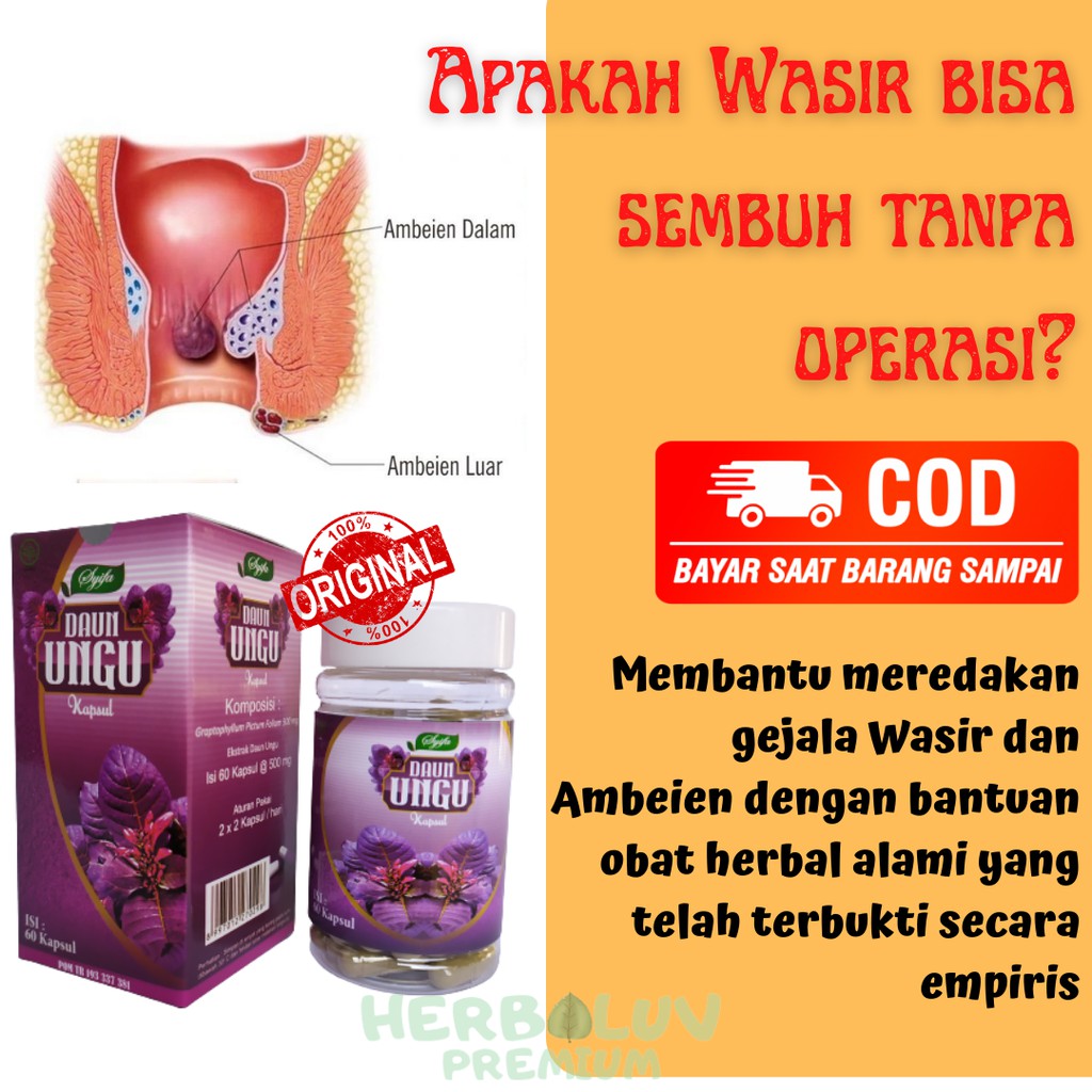 Obat Ambeien Pengempis Benjolan Dubur Kapsul Daun Ungu Obat Wasir Ampuh Surabaya