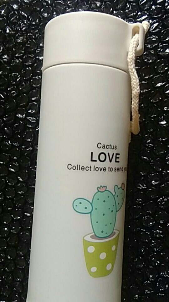 Botol Minum Kaktus Botol Minum Kaca