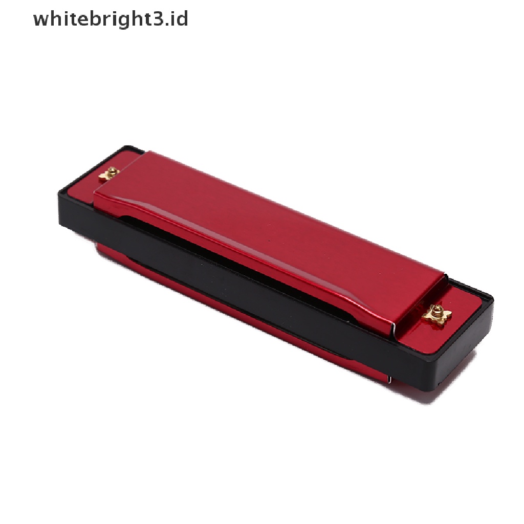 {whitebright3.id} 10 Hole Harmonica Mouth Organ Puzzle Musical Instrument Beginner Teaching  ,