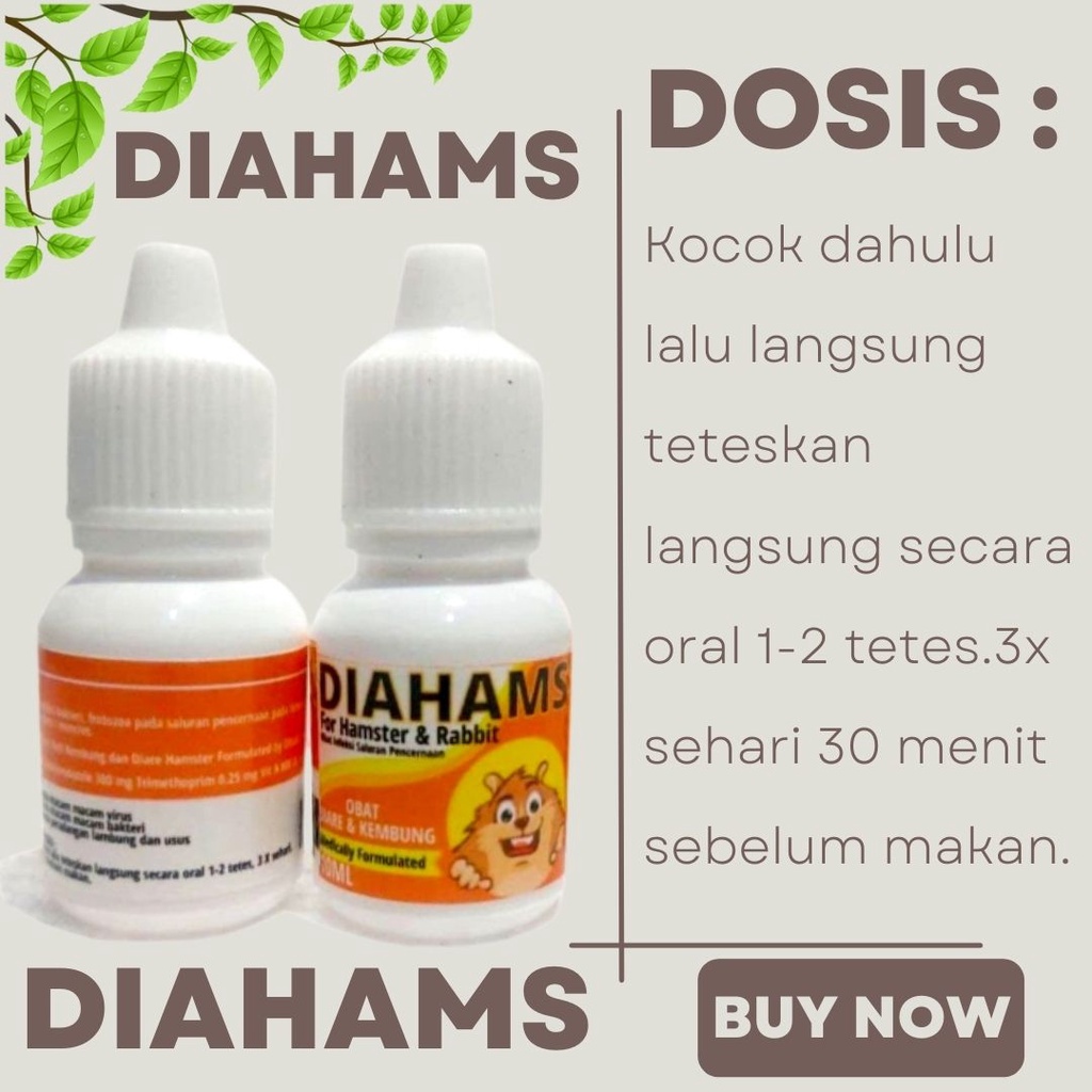 OBAT DIARE HAMSTER KELINCI OBAT MENCRET ANTI KEMBUNG AMPUH MENGOBATI INFEKSI SAURAN PENCERNAAN HEWAN DIAHAMS FEZONE