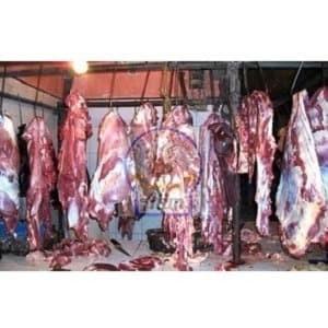

Meat | Daging Kambing Muda - Fresh Lambs Meat